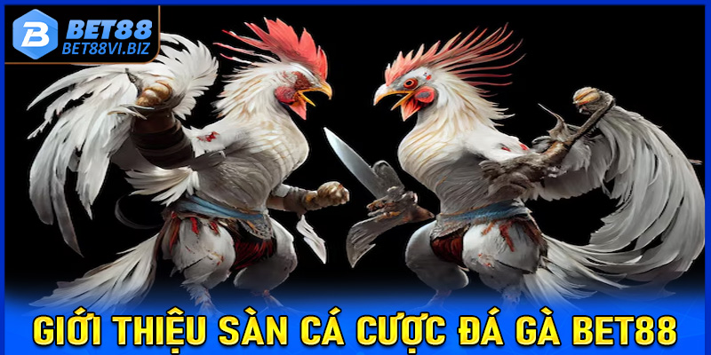 Cẩm nang chung về sàn cá cược đá gà Bet88 