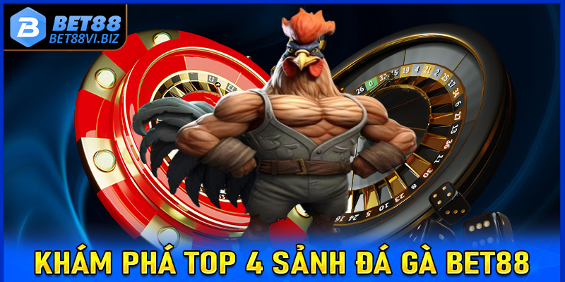 Khám phá top 4 sảnh đá gà Bet88 được giới cược thủ săn lùng 