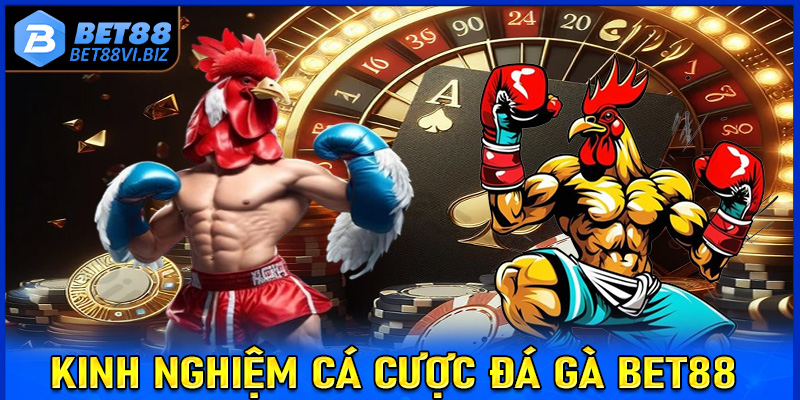 Bật mí kinh nghiệm cá cược đá gà Bet88 dành cho người chơi mới